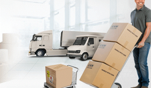 Báo Giá Dịch Vụ Chuyển Văn Phòng Trọn Gói Quận Hai Bà Trưng: Tiết Kiệm Đến 30%